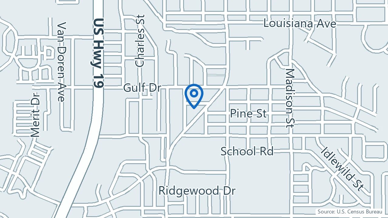 Map showing UThrive Health in New Port Richey, Florida