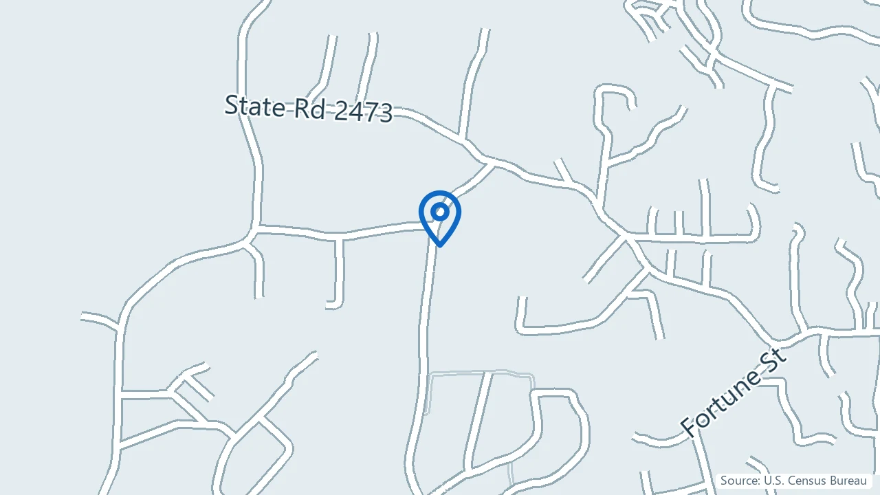Map showing Dine Integrative Therapy in Black Mountain, North Carolina