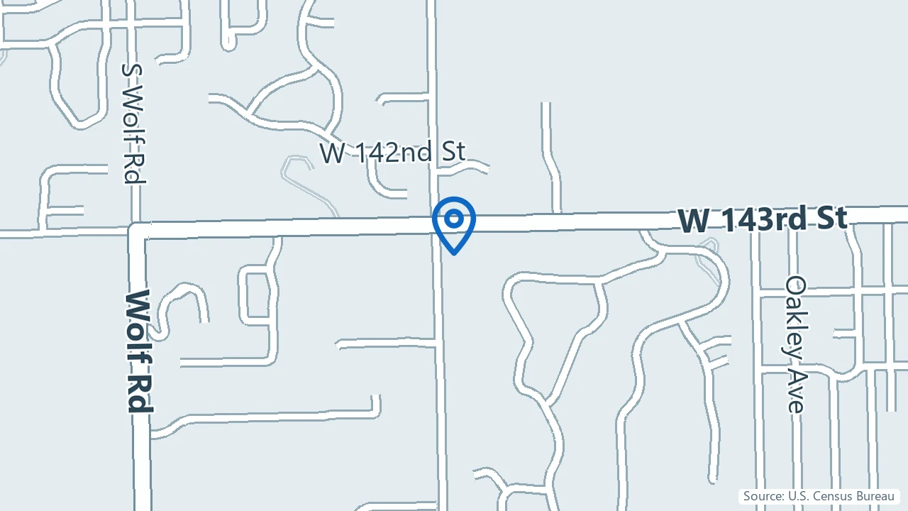 Map showing The Institute of Neurobehavioral Services in Orland Park, Illinois