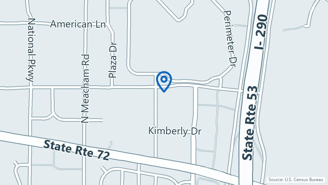 Map showing Brighter Life Behavioral Services in Schaumburg, Illinois
