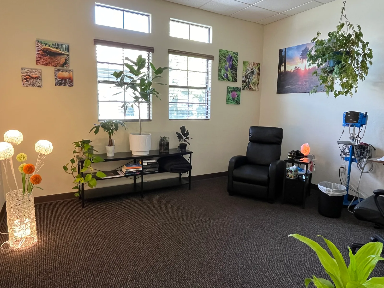 WholeMind Healing Pathways photo