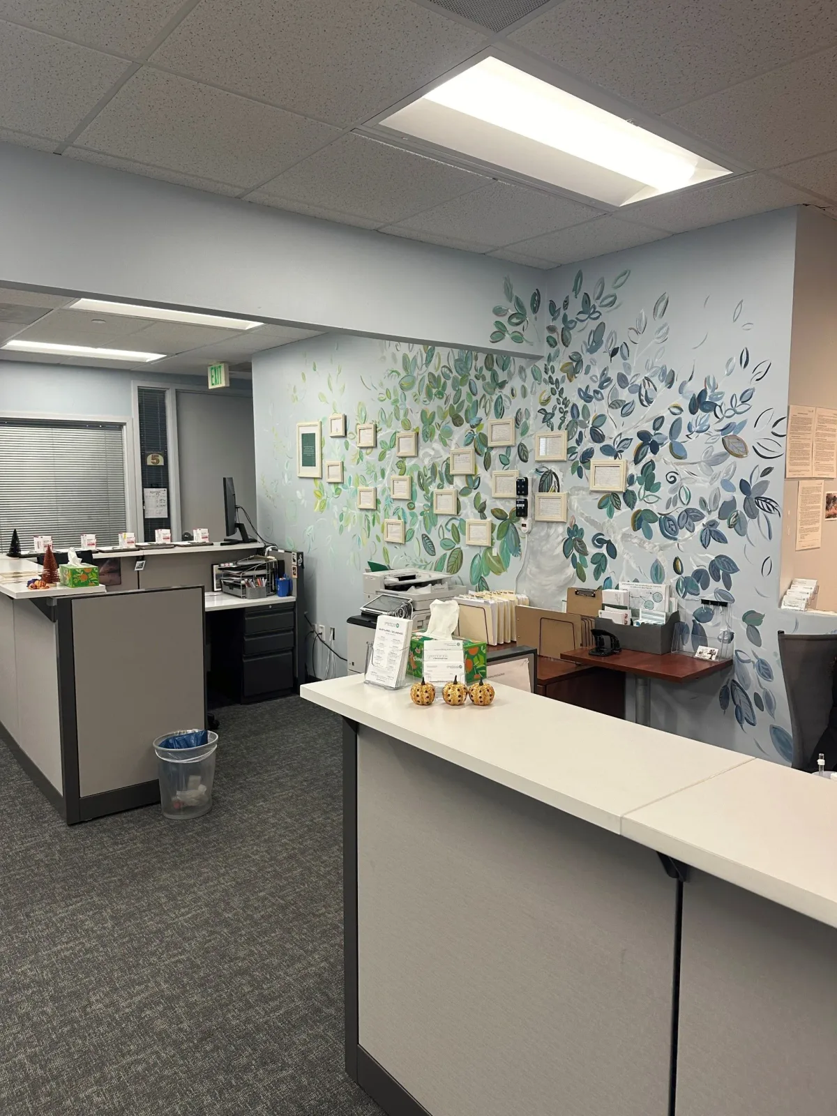 Greenbrook Mental Wellness Center in Pikesville, Maryland