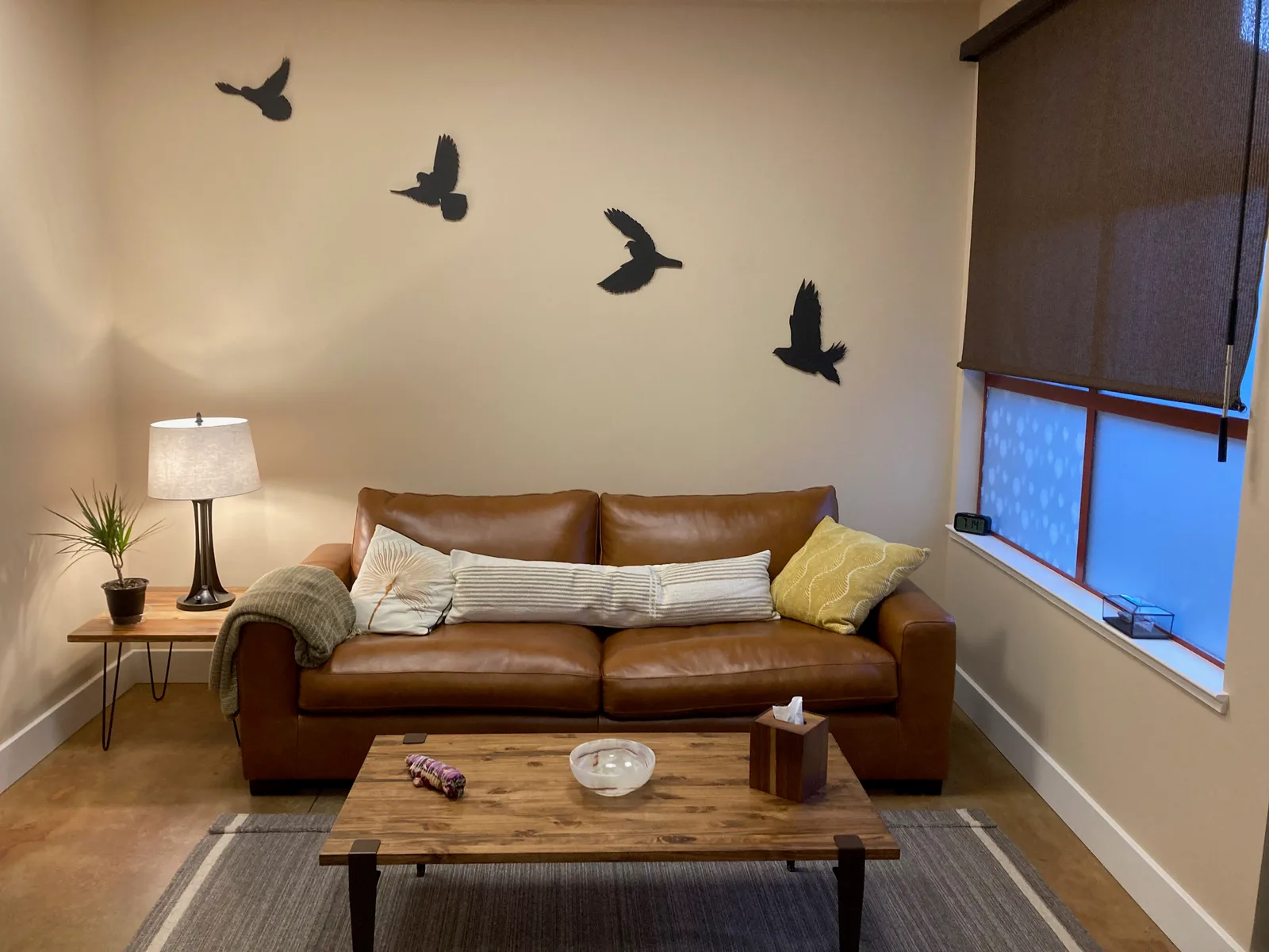 Liminal Medicine in Sebastopol, California