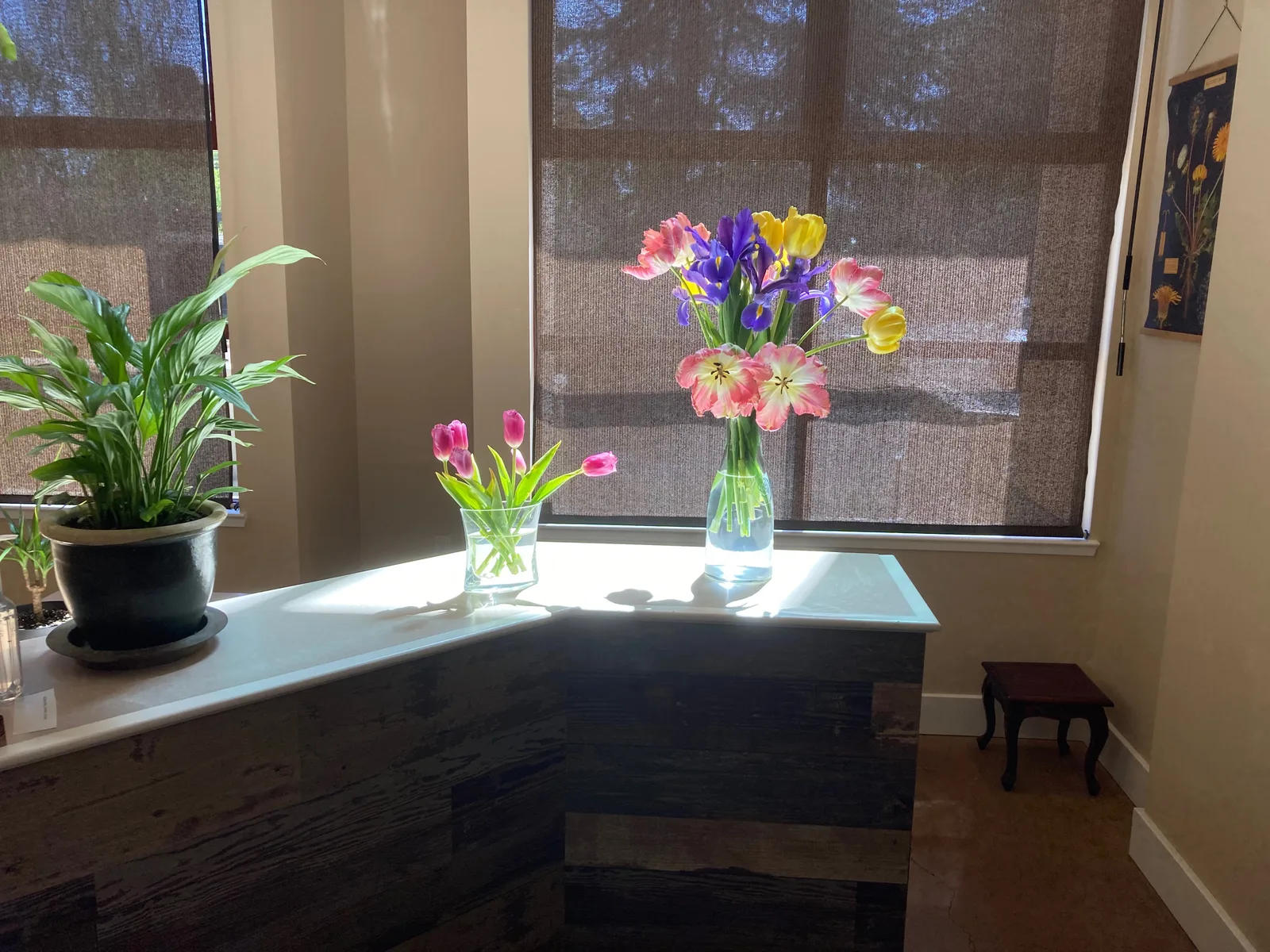 Liminal Medicine in Sebastopol, California