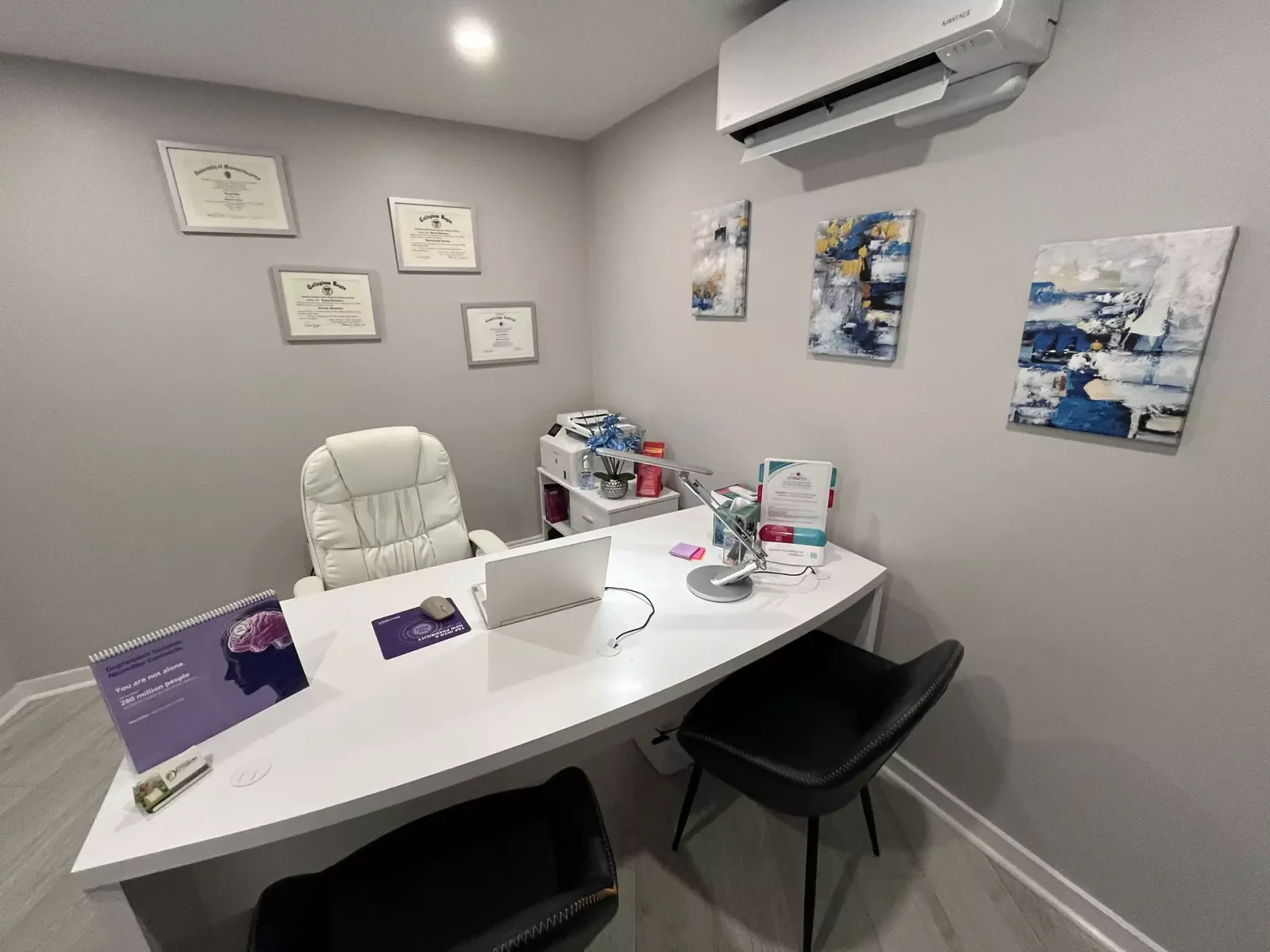 Wholesome Psychiatry consultation/treatment office.